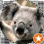 Дмитрий Кричун