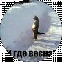 Виталий КЮРЧЕВ