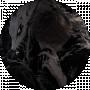 __.greshnik.__ 13