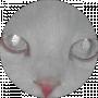 Костя Янушкевич