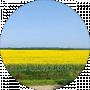 Віталій Лужний