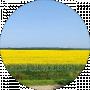 Віталій Лужний