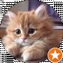 dmon ___ (pin_G_win)