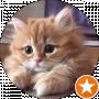 dmon ___ (pin_G_win)