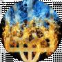 _fan_tom__1