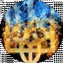 _fan_tom__1