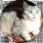 Ольга Мезенцева