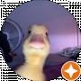 aligator777777