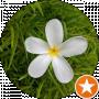 Shubham Kumar
