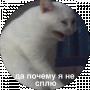 Александр Бездомный