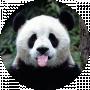 MrPachoXD