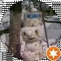 Володимир Гольман