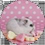 Наталья Паламарчук