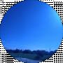 Елизавета Дудник