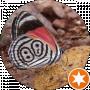 Geio Bew