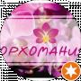Алена Кучеренко (Лёлькины Орхидеи)