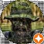 Ігор Калинович