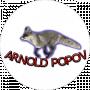 Арнольд Попов