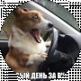 много всего