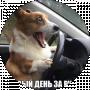 много всего