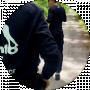 VVp GG
