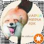 VADUA MEDIA FOX