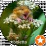 Karamboletta Zuka