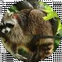 Наталья Иванова