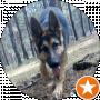 Olena