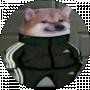 Bohdan