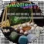 Samocvety Stones