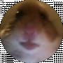 Mr.Creedmoor