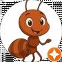 Sliko