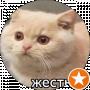 Таня