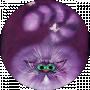 neko nanane