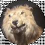 Данило Кім