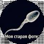 Спертозоид Генадий