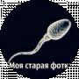 Спертозоид Генадий
