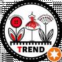 Швейная академия Trend Fashion Desing School