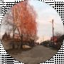 Олена Вислогузова