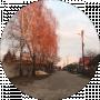 Олена Вислогузова