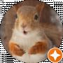 Andrey