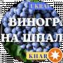 Жизнь на колёсах
