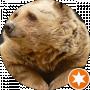 Владимир Семёнов