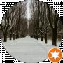 Света Голик