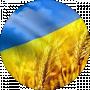 Yuryi Pustovit