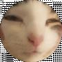 Artem Karpika