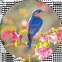 Ольга