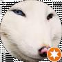 White Fox