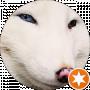 White Fox